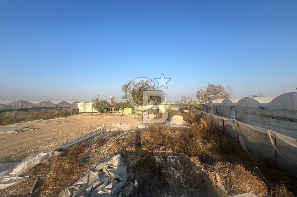 Mersin Kazanlı Sanayi Bölgesine Yakın Yatırımlık Tarla 