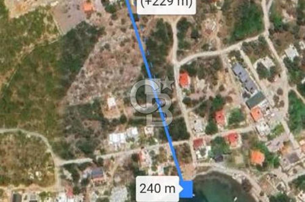 MUĞLA MİLAS KIYIKIŞLACIK'TA DENİZE 240 M SATILIK ZEYTİNLİK