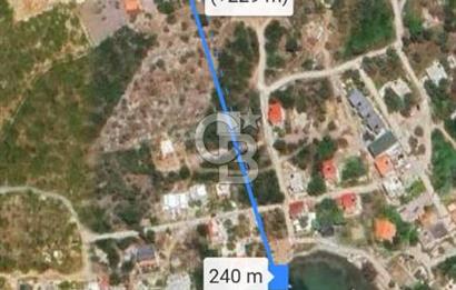 MUĞLA MİLAS KIYIKIŞLACIK'TA DENİZE 240 M SATILIK ZEYTİNLİK