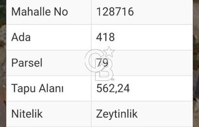 MUĞLA MİLAS KIYIKIŞLACIK'TA DENİZE 240 M SATILIK ZEYTİNLİK