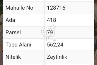 MUĞLA MİLAS KIYIKIŞLACIK'TA DENİZE 240 M SATILIK ZEYTİNLİK - 8 - 313347