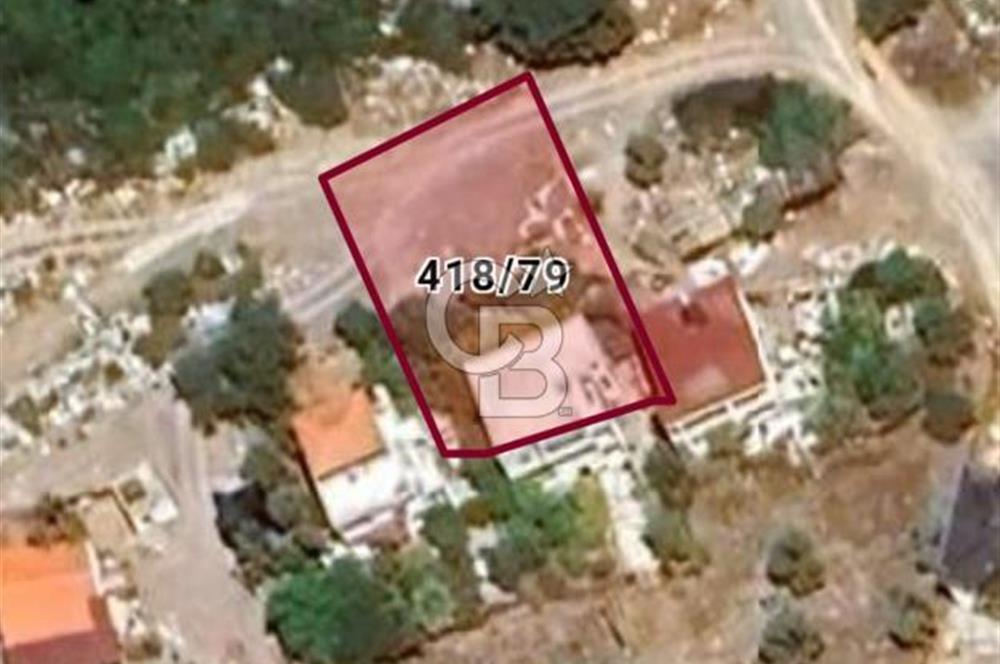 MUĞLA MİLAS KIYIKIŞLACIK'TA DENİZE 240 M SATILIK ZEYTİNLİK