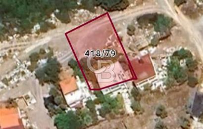 MUĞLA MİLAS KIYIKIŞLACIK'TA DENİZE 240 M SATILIK ZEYTİNLİK