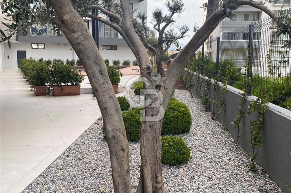 ATAŞEHİR GAYDA VERA SİTESİ, CADDE ve MEYDAN CEPHE, KİRALIK 1+1