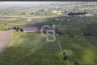 CB AMBIANCE'DAN GÖNEN DE 65 DÖNÜM CEVİZLİ DEĞERLİ ARAZİ - 1 - 313473
