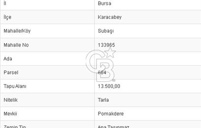 CB BLACK'TEN KARACABEY SUBAŞI'DA HARİKA KONUMDA YATIRIMLIK TARLA