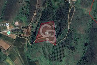 CB BLACK'TEN KARACABEY SUBAŞI'DA HARİKA KONUMDA YATIRIMLIK TARLA - 1 - 313670