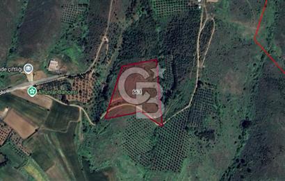 CB BLACK'TEN KARACABEY SUBAŞI'DA HARİKA KONUMDA YATIRIMLIK TARLA