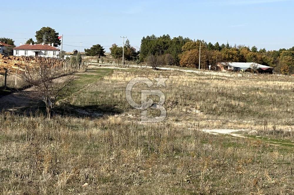 CB CITY'DEN YUKARI KALABAK KÖYÜNDE SATILIK ARSA