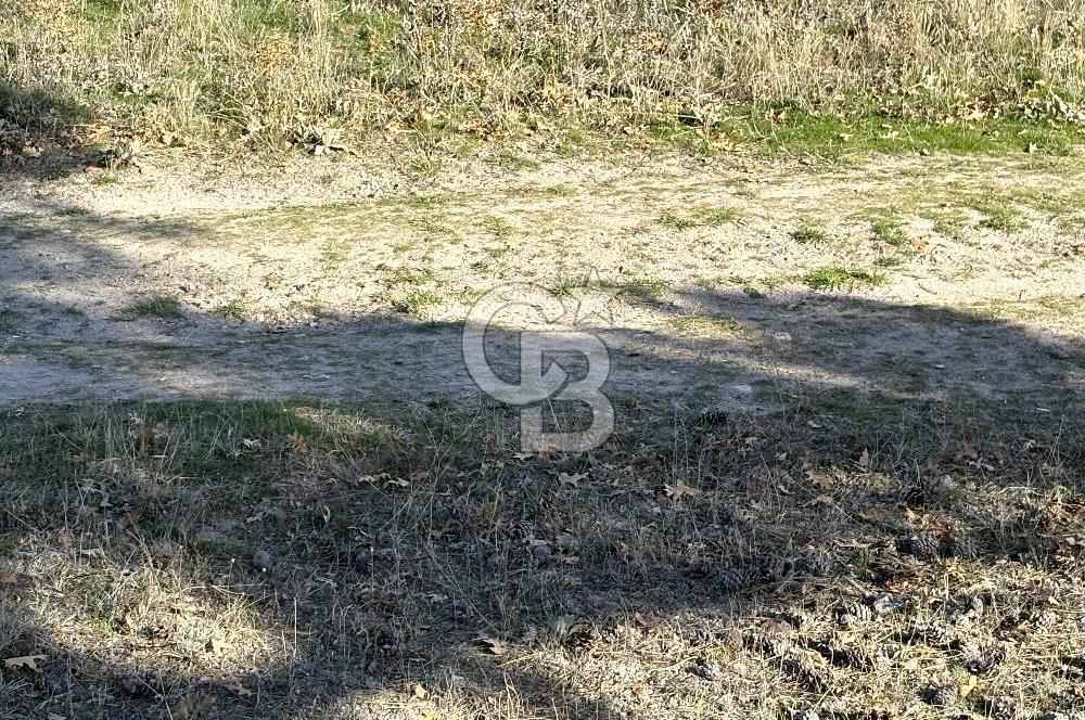 CB CITY'DEN YUKARI KALABAK KÖYÜNDE SATILIK ARSA