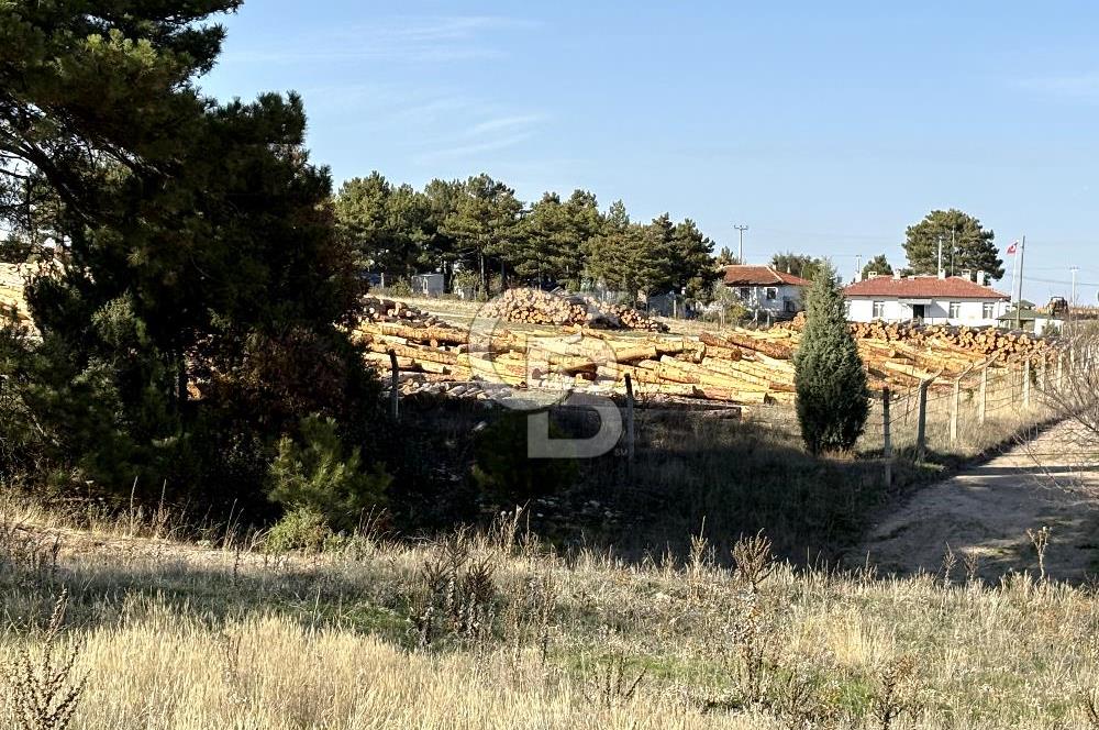 CB CITY'DEN YUKARI KALABAK KÖYÜNDE SATILIK ARSA