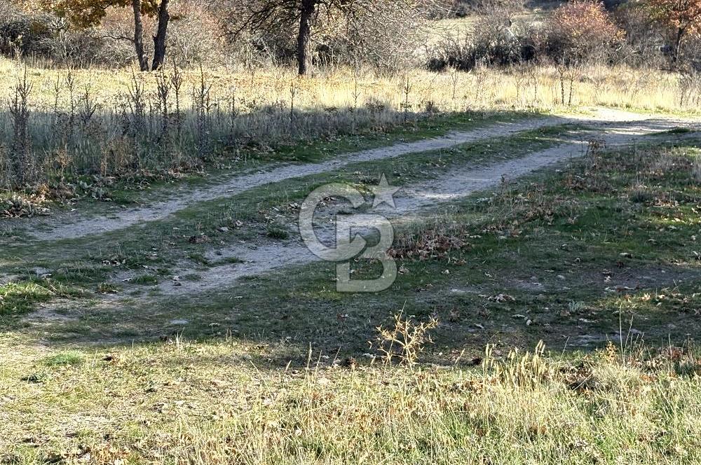 CB CITY'DEN YUKARI KALABAK KÖYÜNDE SATILIK ARSA