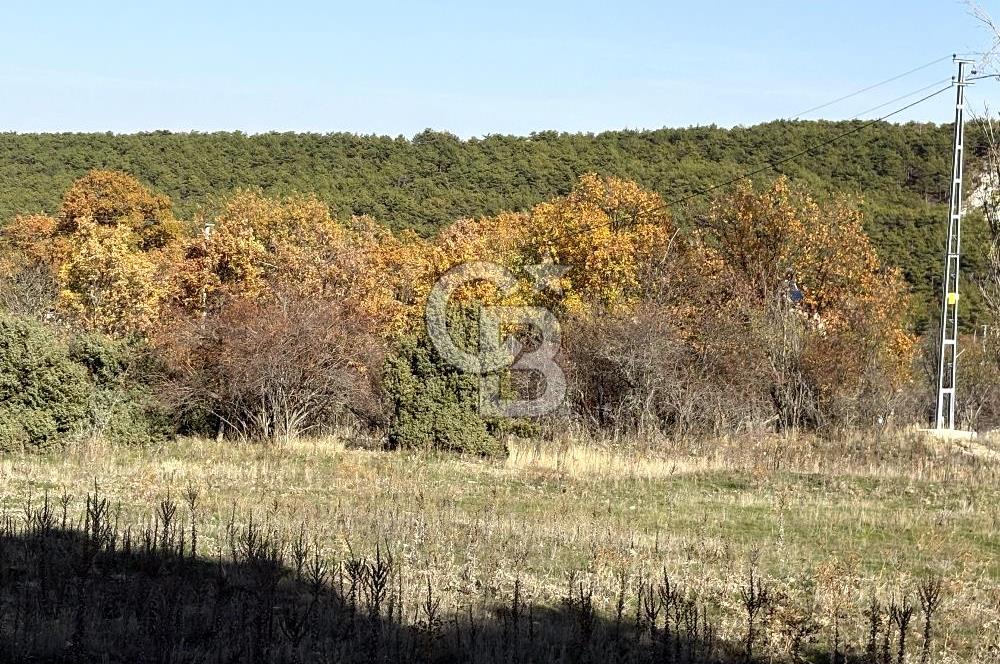 CB CITY'DEN YUKARI KALABAK KÖYÜNDE SATILIK ARSA