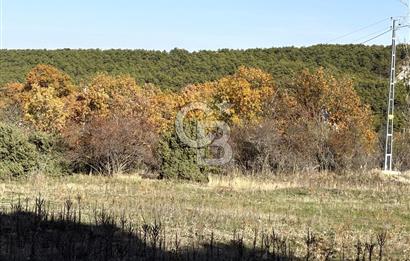 CB CITY'DEN YUKARI KALABAK KÖYÜNDE SATILIK ARSA