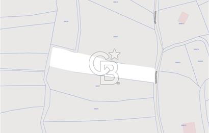 ÇİLEKLİ' DE 1517m² YENİ YOLA YAKIN FIRSAT SATILIK ARSA