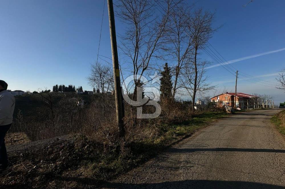 ÇİLEKLİ' DE 1517m² YENİ YOLA YAKIN FIRSAT SATILIK ARSA