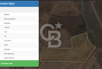 KAZAN PEÇENEK MERKEZ DE SATILIK 6150 M² TEK TAPU SATILIK TARLA - 4 - 313684
