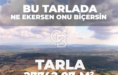 KANDIRA DA 28 DÖNÜM SATILIK ARAZİ 