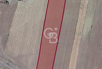 ÇORUM OSMANCIK DA YATIRIMLIK TARLA - 1 - 313708