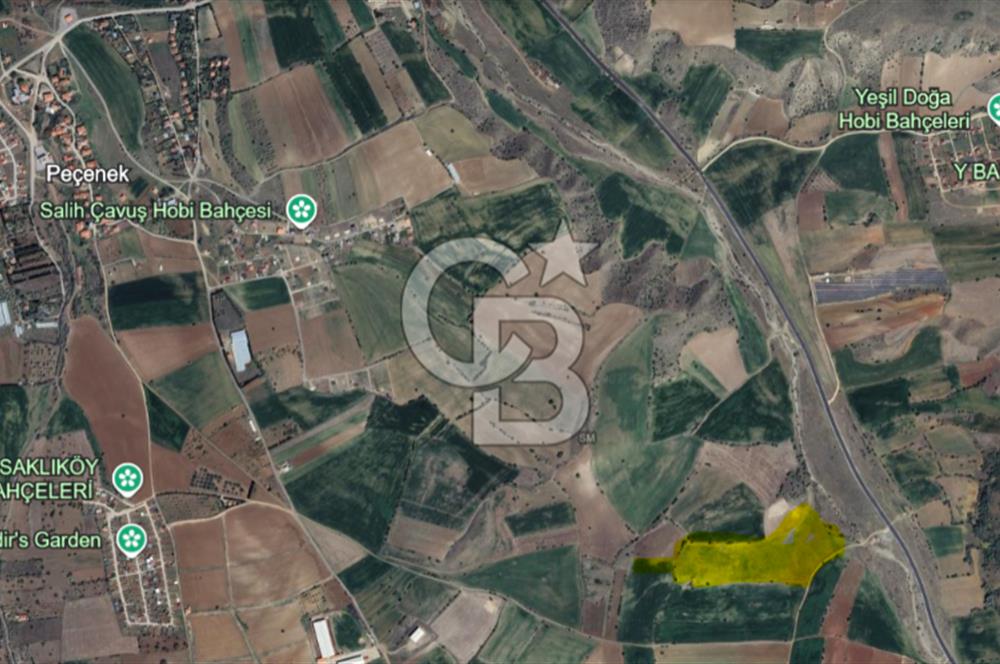 KAZAN PEÇENEK MERKEZ DE SATILIK 6150 M² TEK TAPU SATILIK TARLA