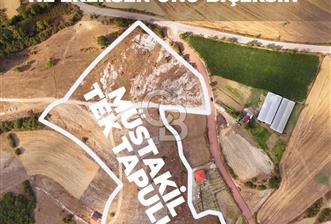 KANDIRA DA 28 DÖNÜM SATILIK ARAZİ  - 1 - 313716