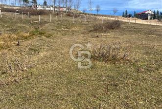 ÇAMBAŞI MERKEZ DE SATILIKİMARLI ARSA - 1 - 313699