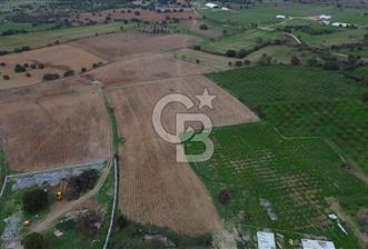 Çanakkale Ezine Yahyaçavus Köyü Satılık Tarla ! - 6 - 313689