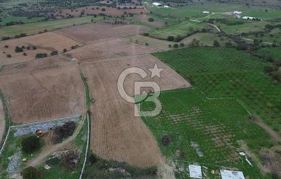 Çanakkale Ezine Yahyaçavus Köyü Satılık Tarla !