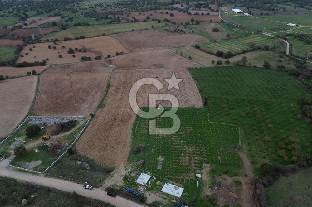 Çanakkale Ezine Yahyaçavus Köyü Satılık Tarla !