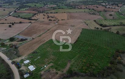 Çanakkale Ezine Yahyaçavus Köyü Satılık Tarla !