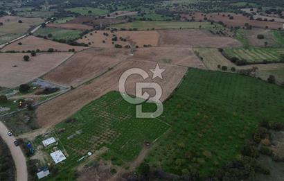 Çanakkale Ezine Yahyaçavus Köyü Satılık Tarla !