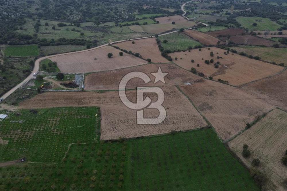 Çanakkale Ezine Yahyaçavus Köyü Satılık Tarla !