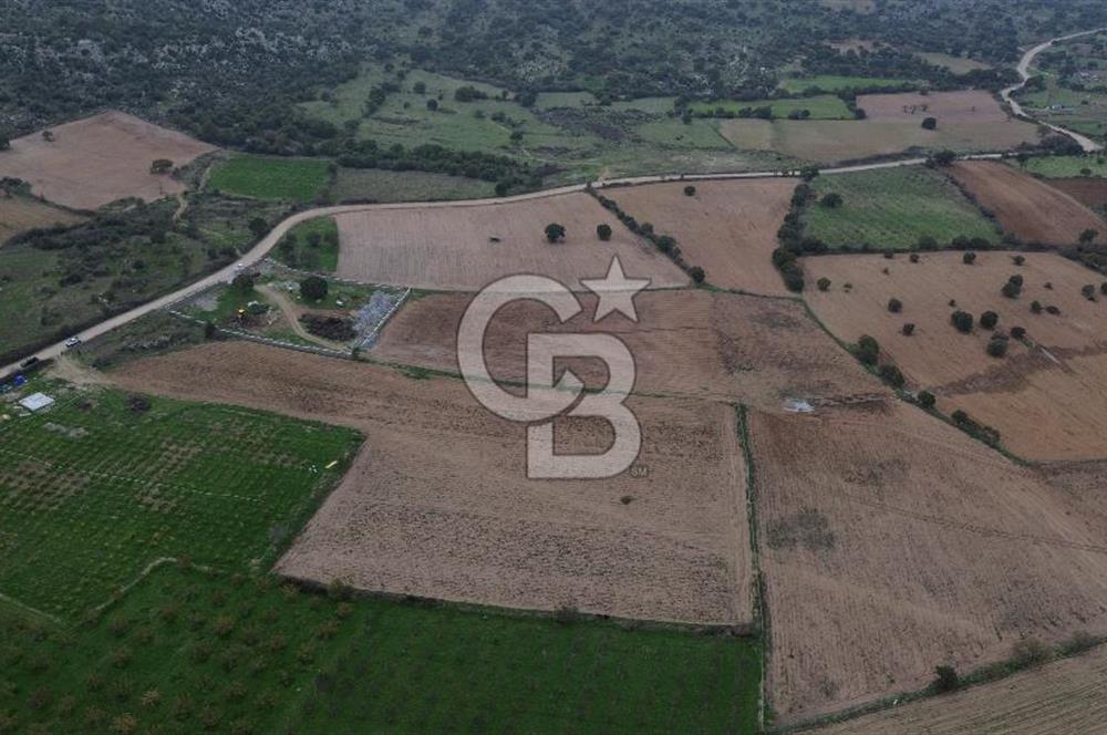 Çanakkale Ezine Yahyaçavus Köyü Satılık Tarla !