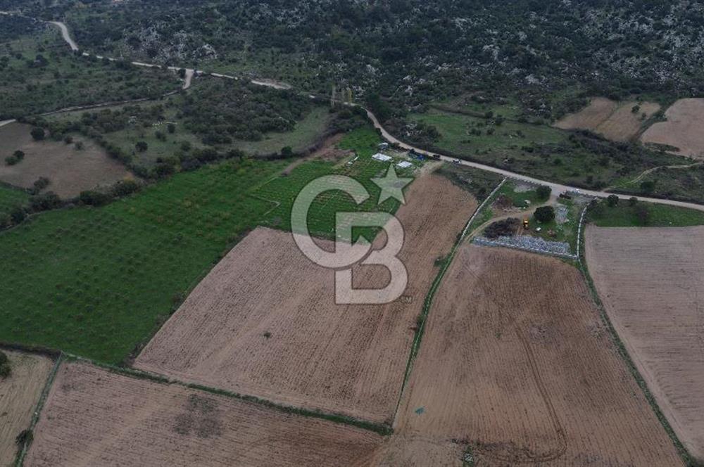 Çanakkale Ezine Yahyaçavus Köyü Satılık Tarla !