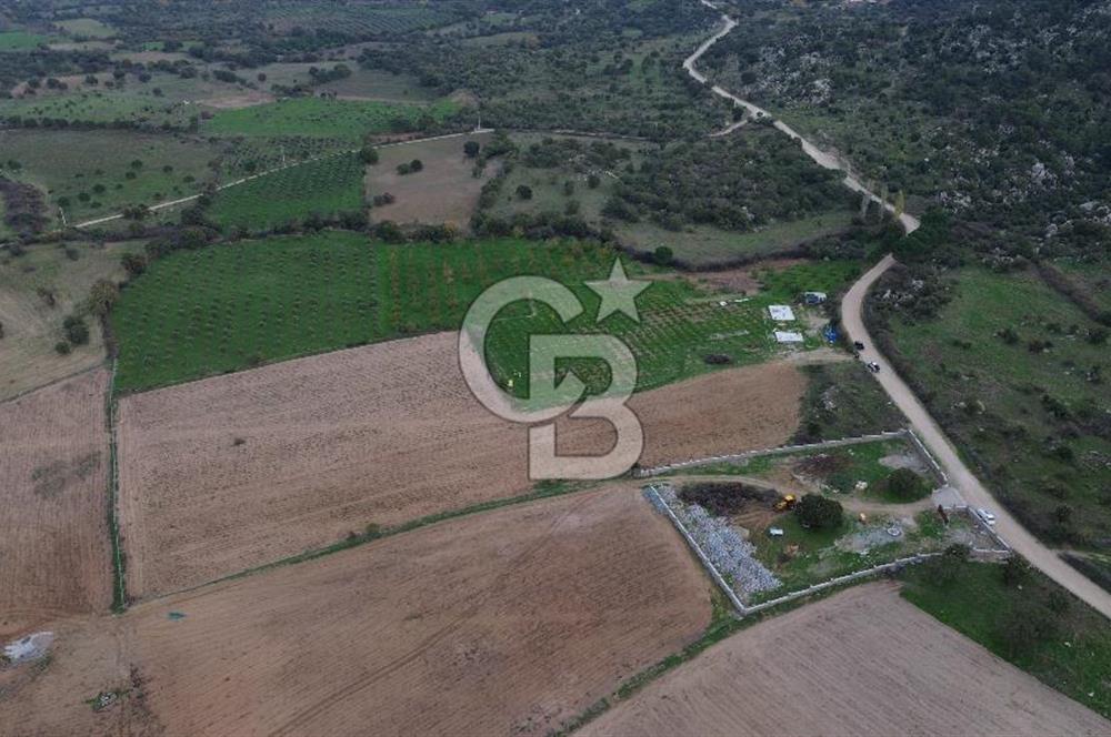 Çanakkale Ezine Yahyaçavus Köyü Satılık Tarla !