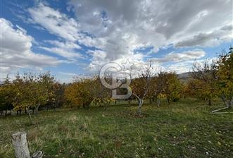 KAZAN AHİ'DE SATILIK TARLA - 9 - 313717