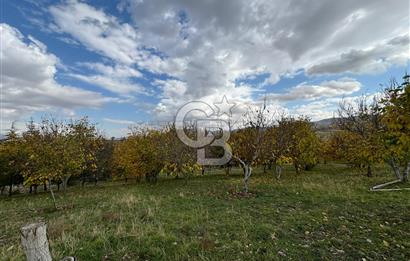 KAZAN AHİ'DE SATILIK TARLA