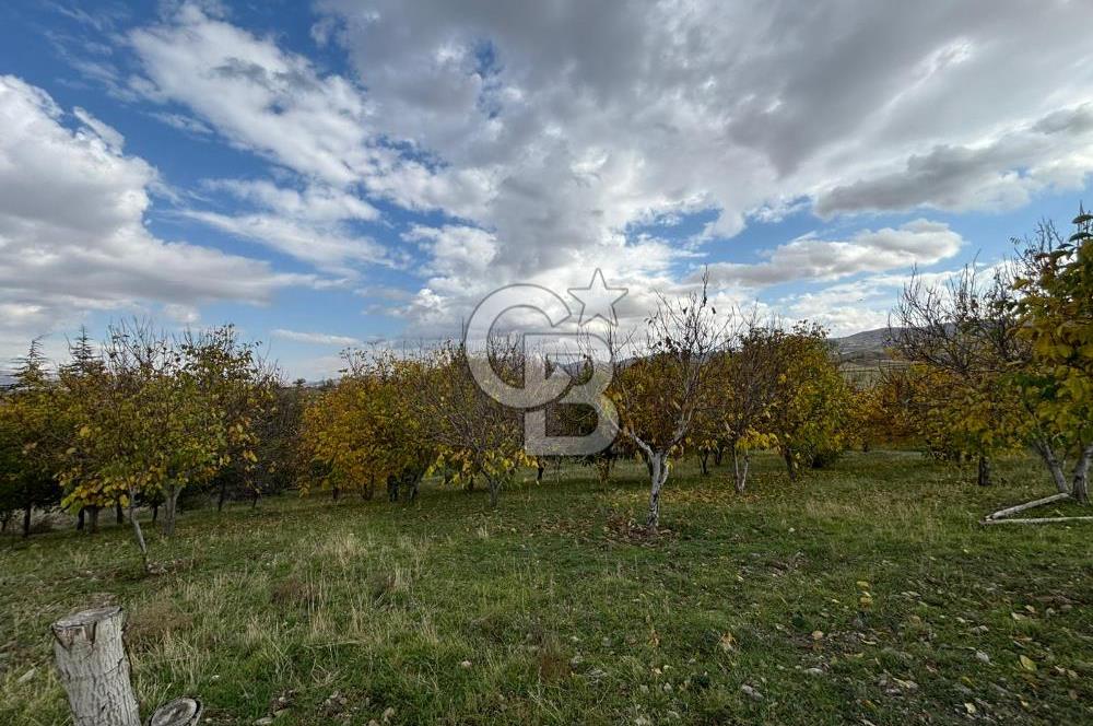 KAZAN AHİ'DE SATILIK TARLA