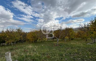 KAZAN AHİ'DE SATILIK TARLA