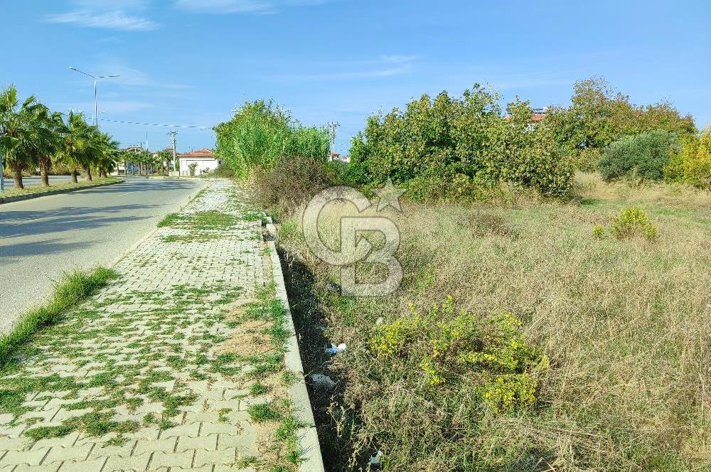 Gündoğdu'da satılık 3281 m2 arsa