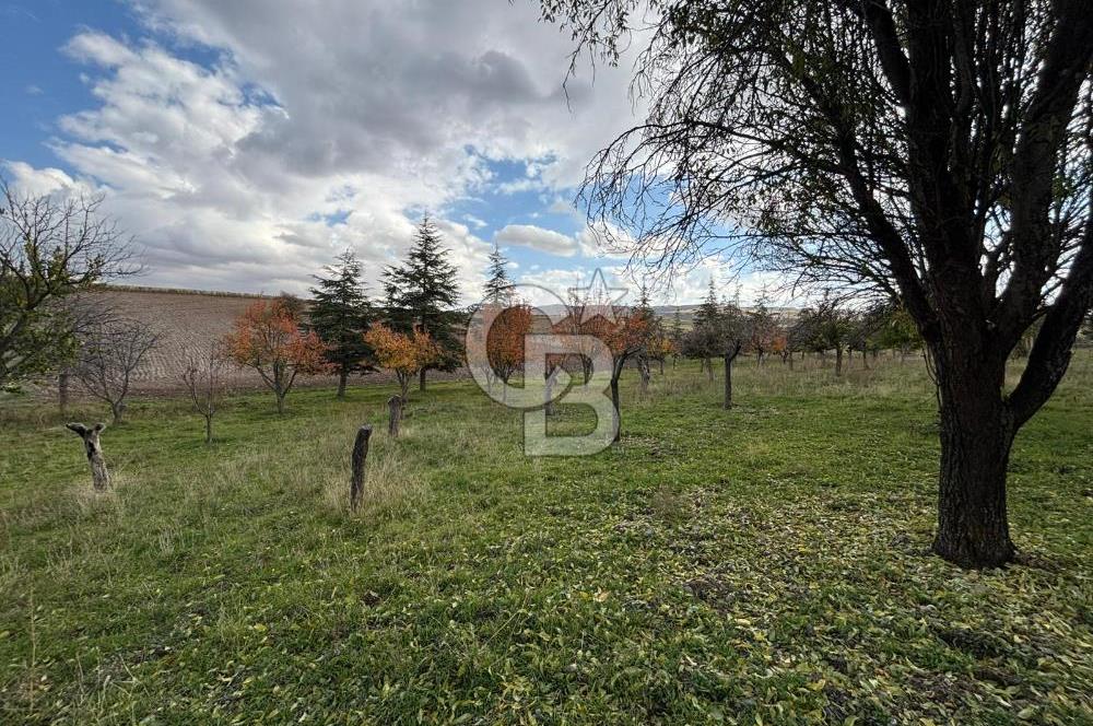 KAZAN AHİ'DE SATILIK TARLA