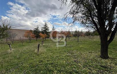 KAZAN AHİ'DE SATILIK TARLA