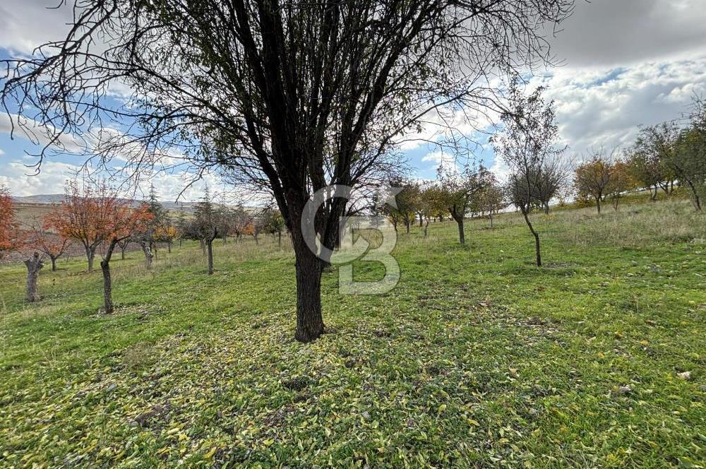 KAZAN AHİ'DE SATILIK TARLA