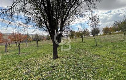 KAZAN AHİ'DE SATILIK TARLA