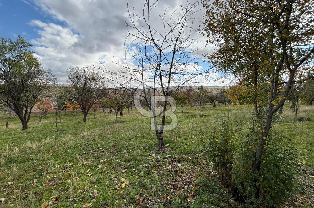 KAZAN AHİ'DE SATILIK TARLA