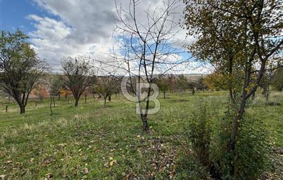 KAZAN AHİ'DE SATILIK TARLA