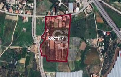 Gündoğdu'da satılık 3281 m2 arsa