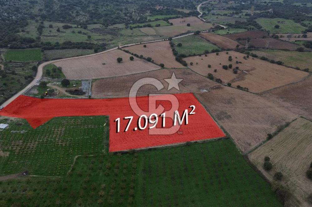 Çanakkale Ezine Yahyaçavus Köyü Satılık Tarla !