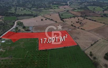 Çanakkale Ezine Yahyaçavus Köyü Satılık Tarla !