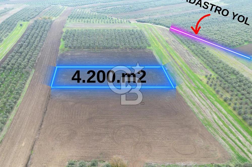 KARACABEY İSMETPAŞA'da SATILIK 4.200 m2 TARLA